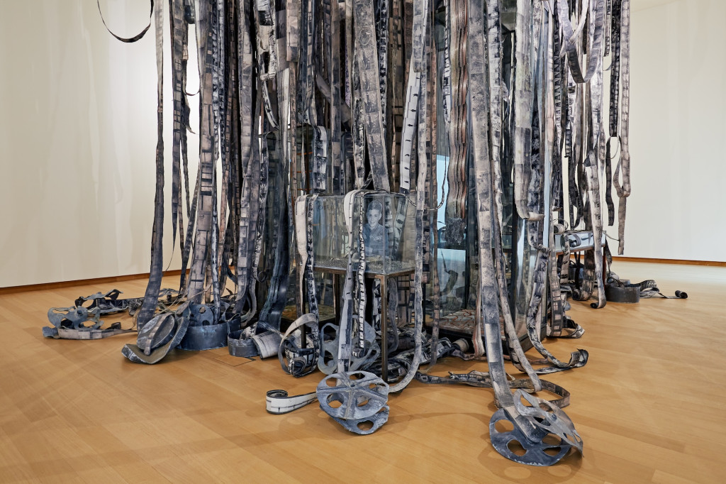 Anselm Kiefer — Sag mir wo die Blumen sind